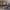  cruquius 2.2 sigma penthouse 